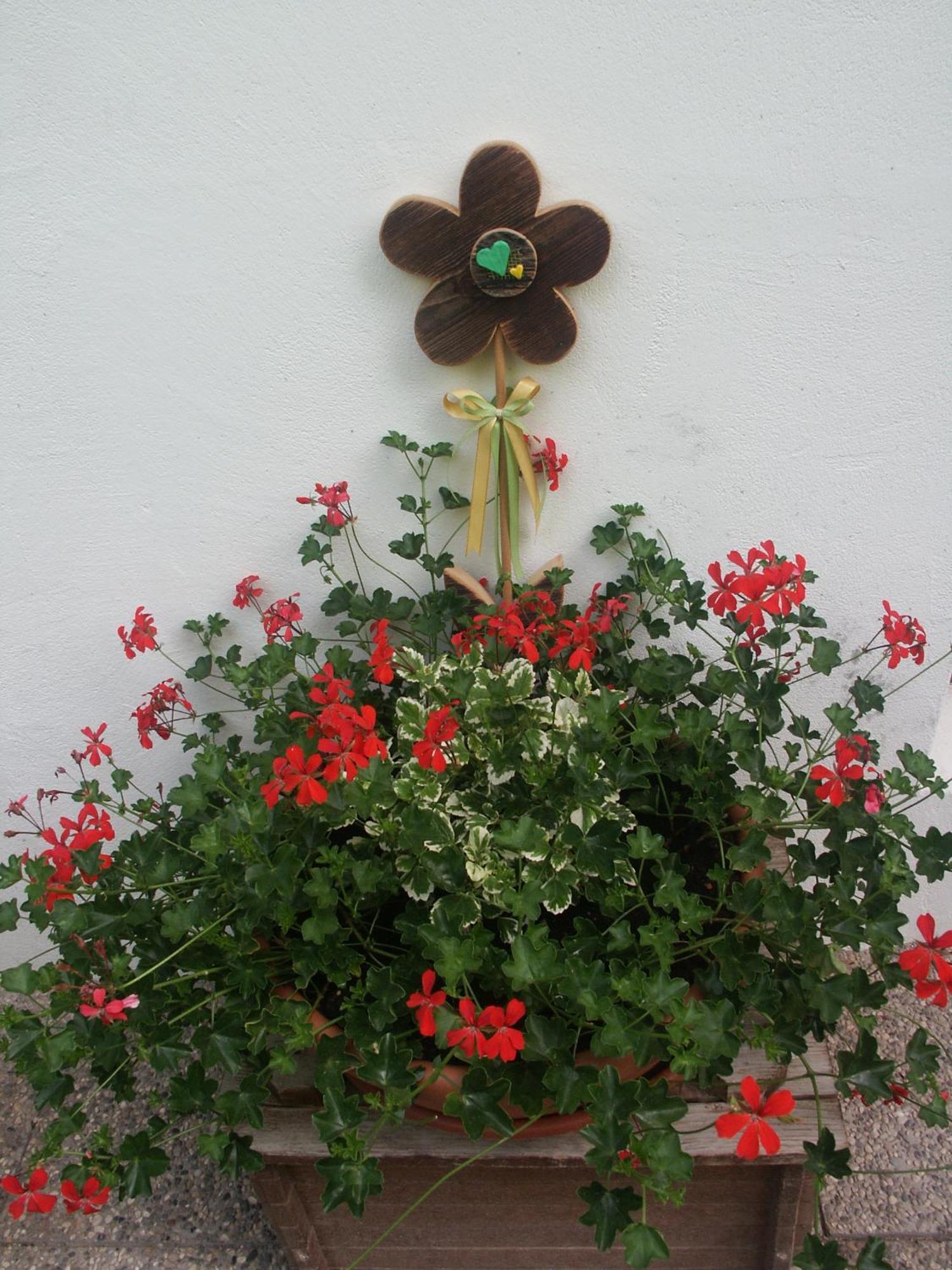 Aria D'Bosch Apartment Badia  Exterior photo